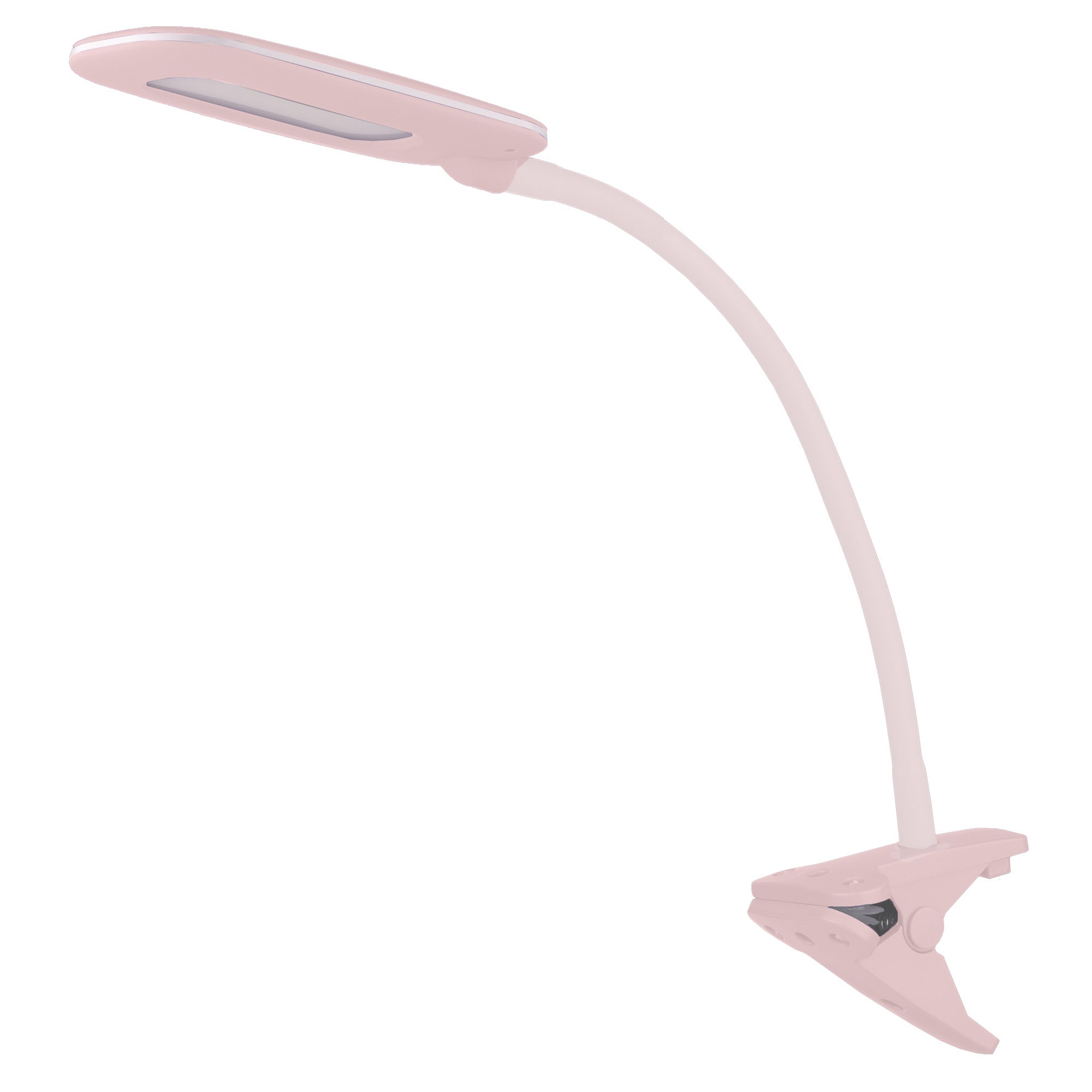 Bryce Clamp on Lamp