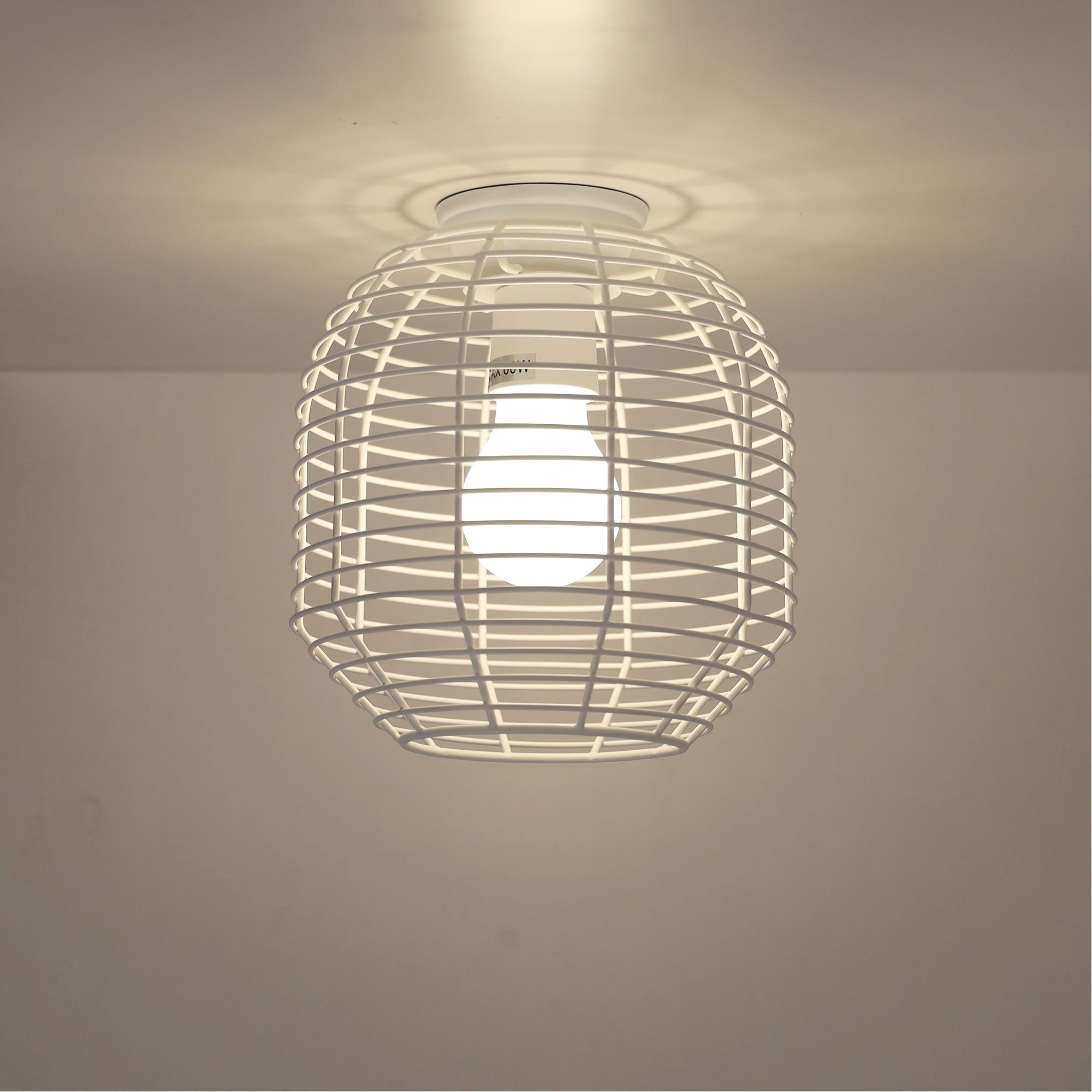 Eve Wire Industrial DIY Shade