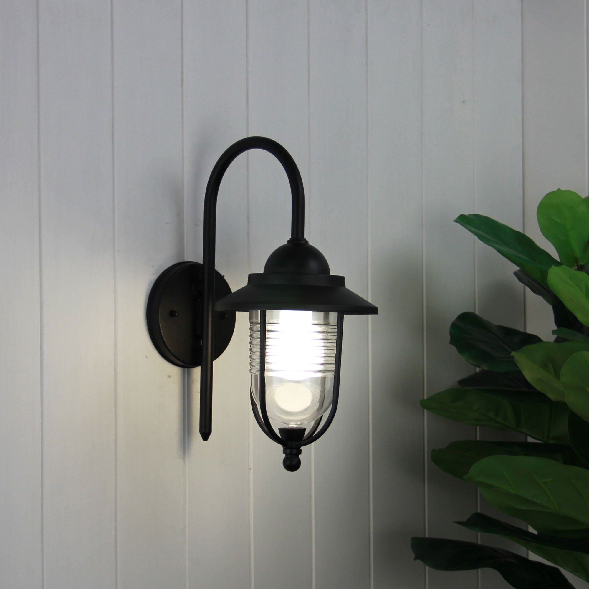 Domo Exterior Wall Light