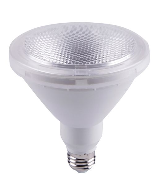 PAR38 LED Flood Light Globe