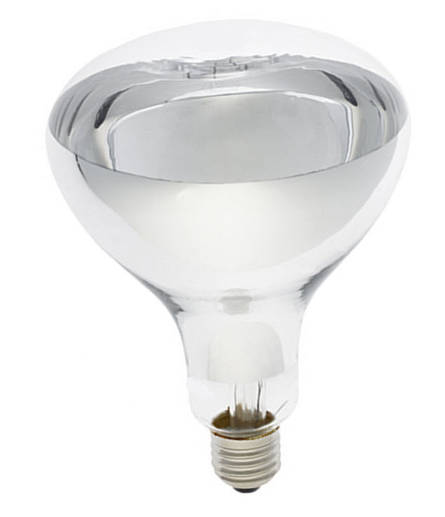 Bathroom Heat Globe