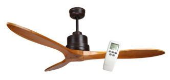 Why should I buy a more expensive ceiling fan with a DC motor?