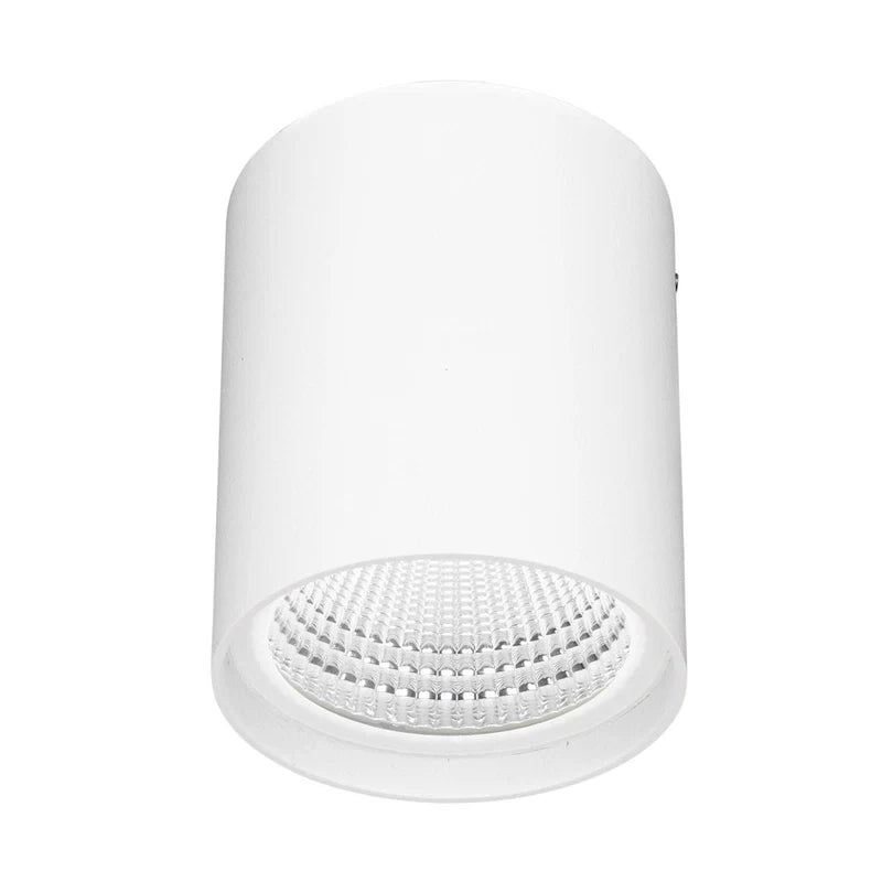 Anka White 9W CCT Surface Mount Downlight (Brilliant Lighting)